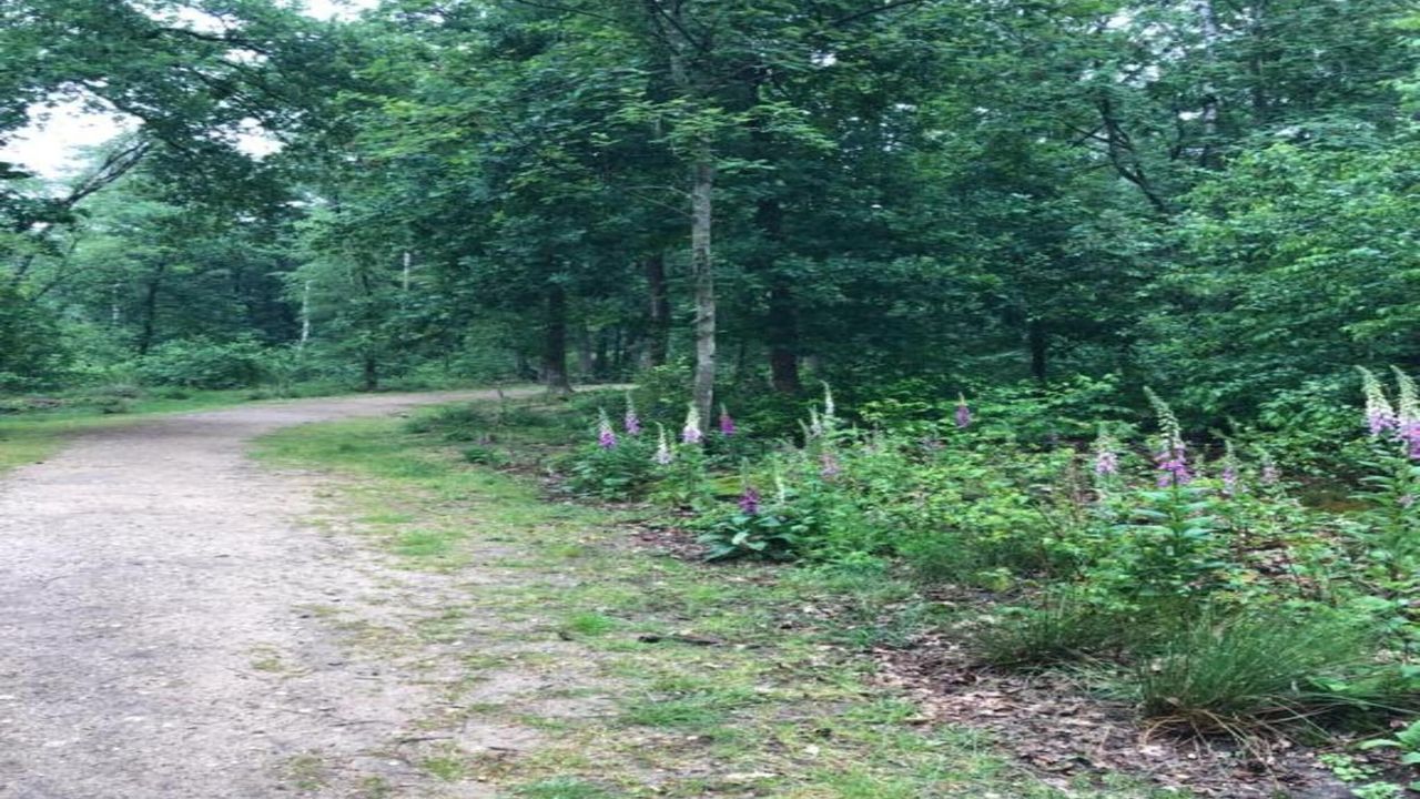 AreaSummer20KM AreaSummer20KM